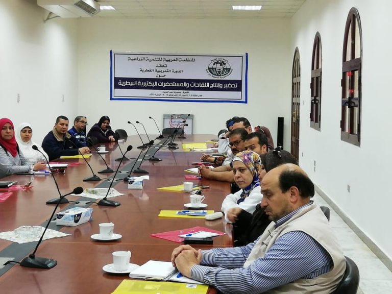 اليوم بحوث الامصال واللقاحات بالعباسية يفتتح الدورة التدريبية بالتعاون مع المنظمة العربية بالقاهرة