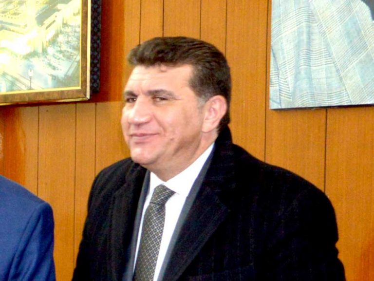 عماد حمدى