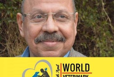 دكتور عاطف محمد كامل