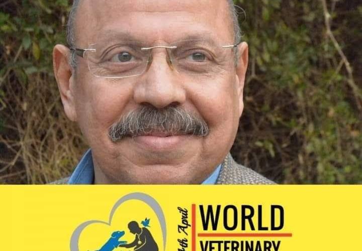 دكتور عاطف محمد كامل