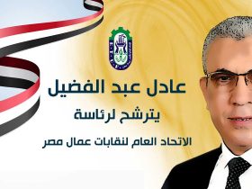 النائب عادل عبد الفضيل