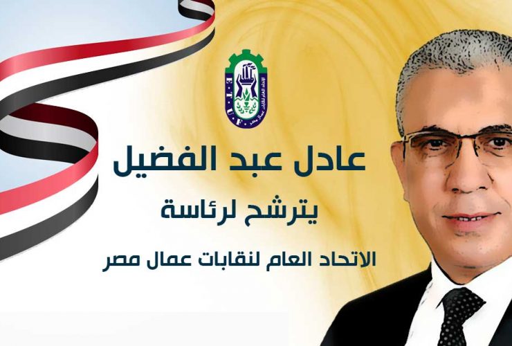 النائب عادل عبد الفضيل