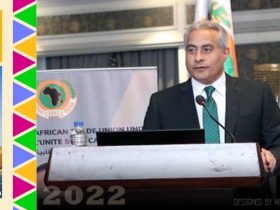 كلمة حسن شحاته في مؤتمر منظمة الوحدة النقابية الافريقية