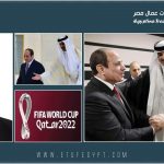 سؤلاف درويش: مصر الان تجني ثمار قوة القيادة السياسية ورشدها في إدارة "السياسات الخارجية"