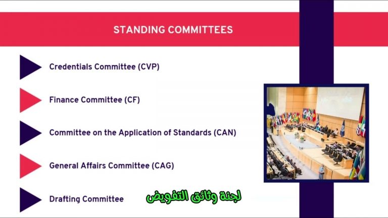 مؤتمر العمل الدولى فى خمس دقائق