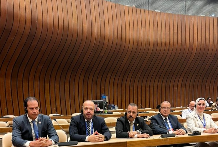 القيادات العمالية فى لجنة العمل اللائق فى اقتصاد المنصات
