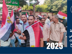 مشاركة العمال فى انتخابات الشيوخ 2025