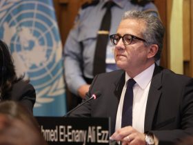 الدكتور خالد العناني